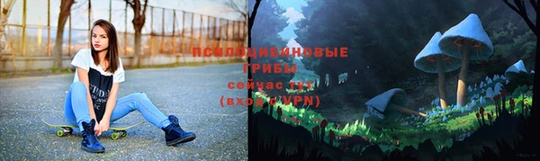 винт Абаза