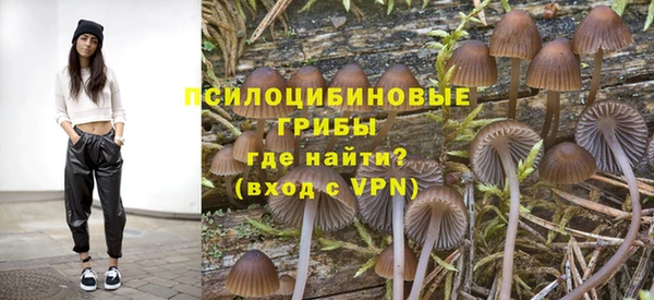 прущий лед Алексеевка