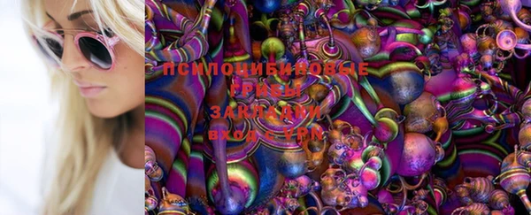 прущий лед Алексеевка