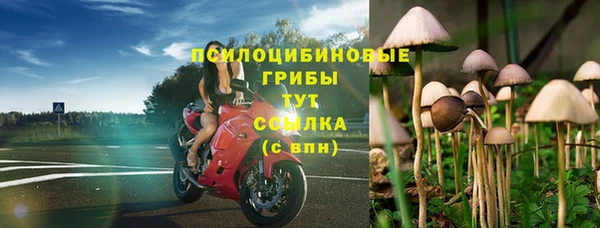 прущий лед Алексеевка
