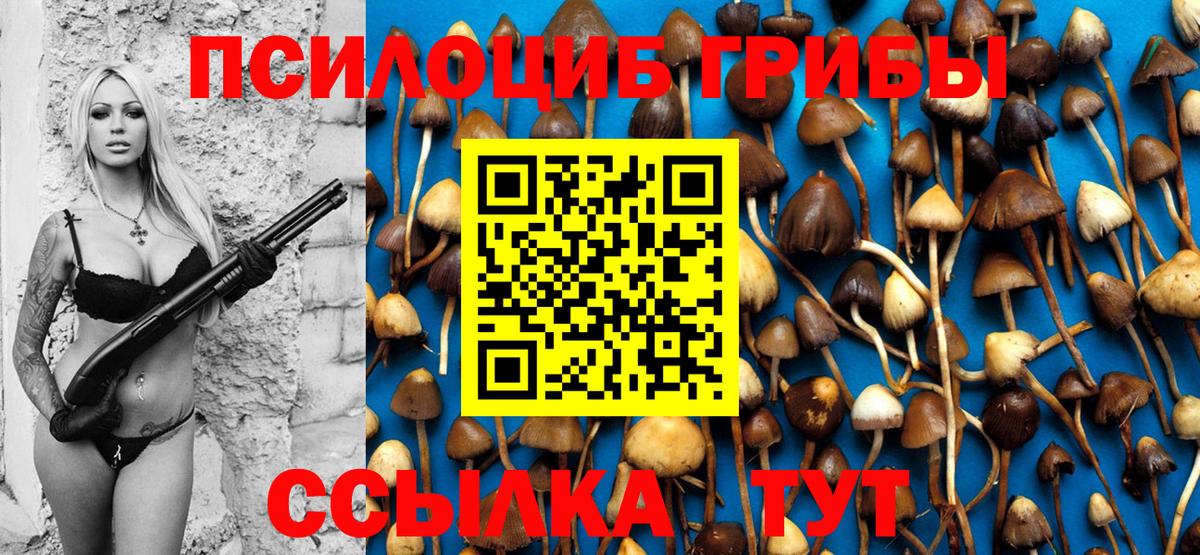 Псилоцибиновые грибы Psilocybine cubensis  Вход с VPN  что такое наркотик  Звенигород 