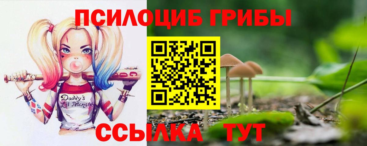 Галлюциногенные грибы GOLDEN TEACHER Звенигород